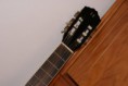 /album/galeria-de-fotos/michael-semi-accoustic1-jpg/